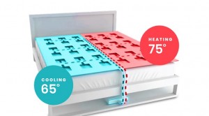 temperature bed